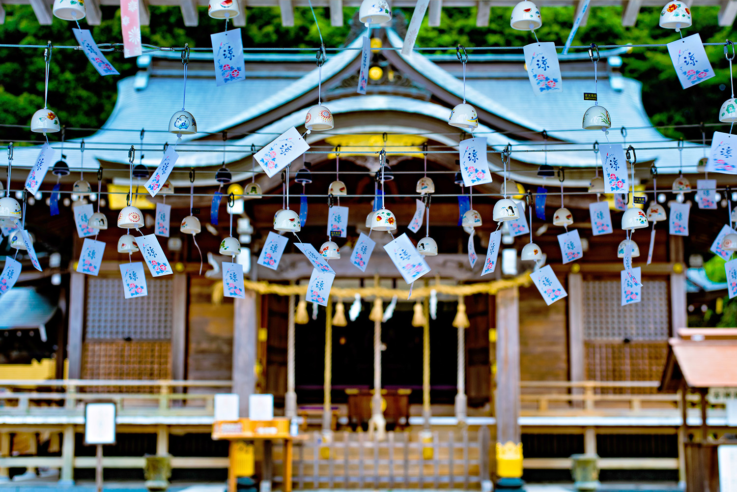 Kasuga Shrine: The Guardian Shrine of Ukiha, Carved by 1300 Years of History