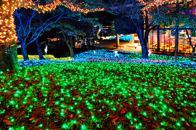 Isahaya Light Fantasia 2024: Fantastic Winter Isahaya Woven by Lights and Illuminations