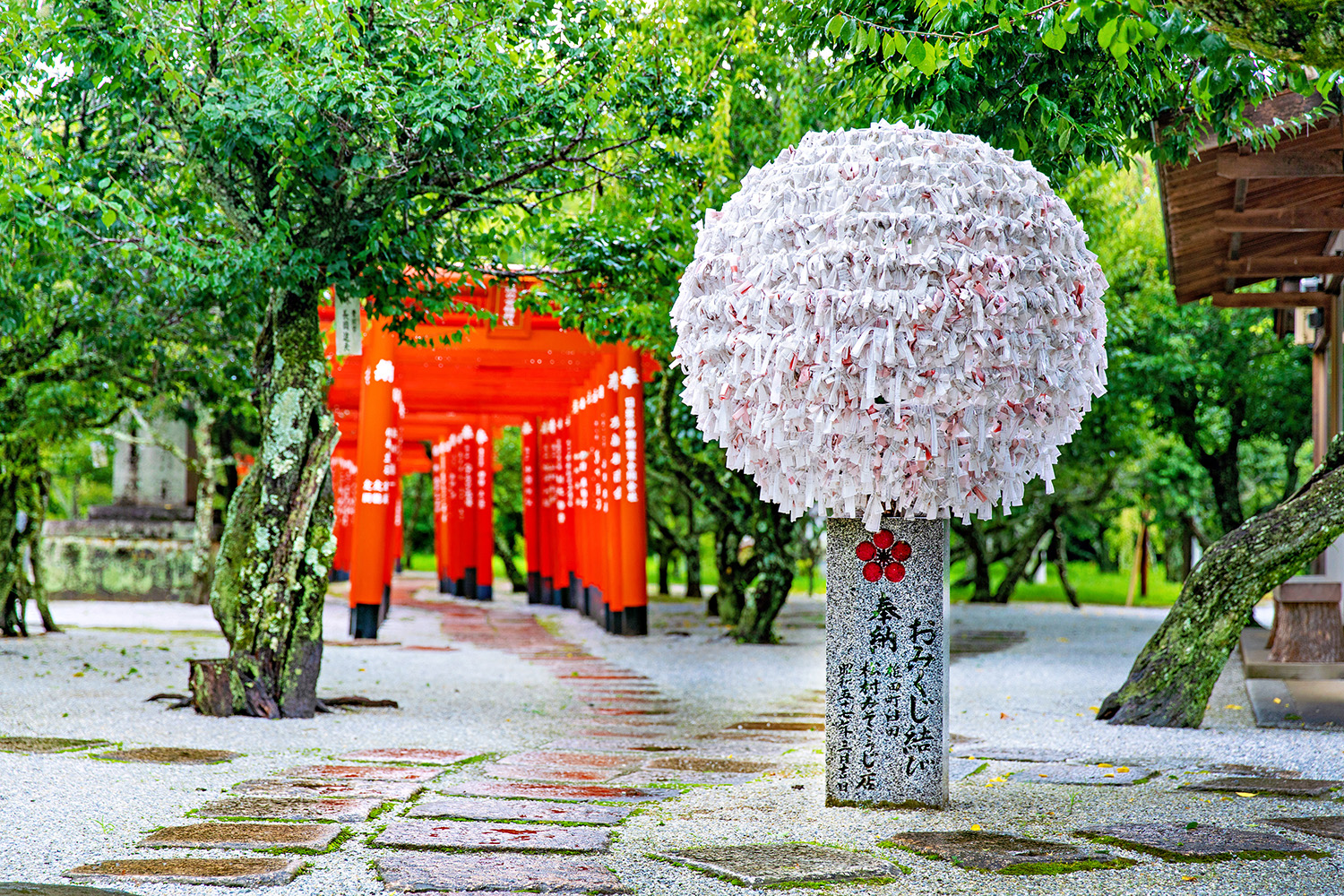 Tsunashiki Tenmangu Shrine: Pray for Academic Success at a Place Associated with Sugawara no Michizane!