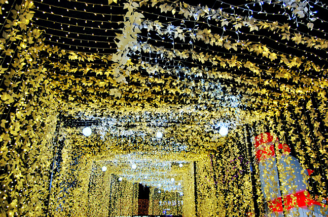 Kirakira Festival in SASEBO: Sasebo's Winter Decorated with 1 Million Lights