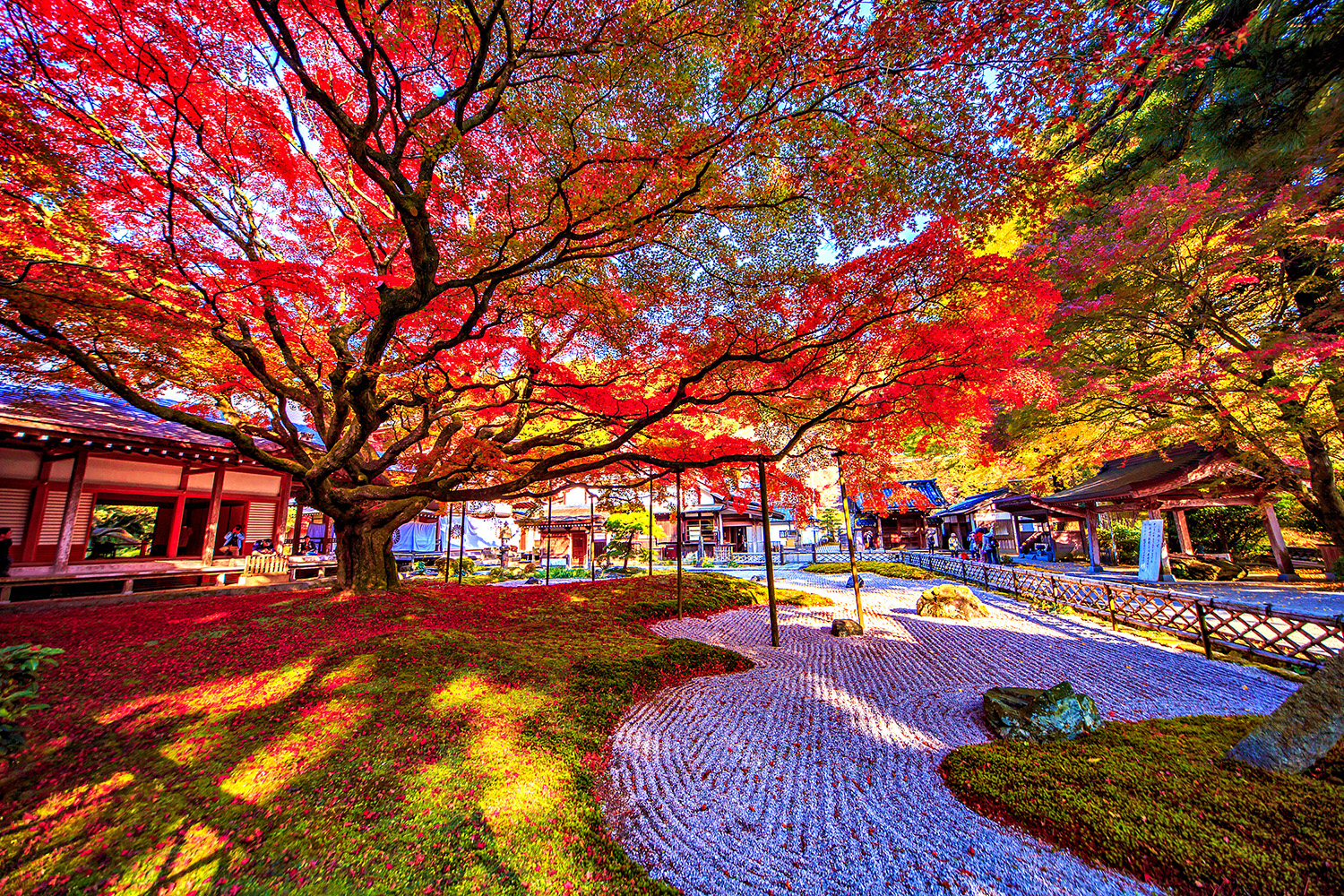 Raizan Sennyo-ji Daihio-in Temple: A Place of Prayer, an Ancient Temple Enveloped in the Silence of Mount Raizan