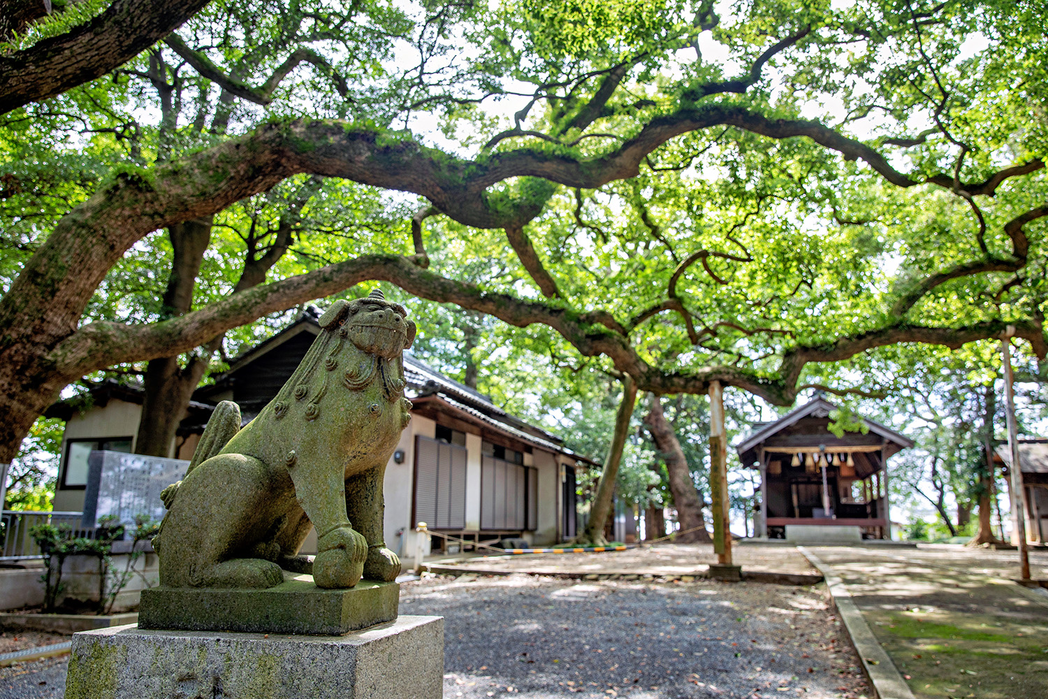 Shikaumi Shrine: The Guardian God of the Sea! A Place to Feel Ancient Romance, the "Head Shrine of the Watatsumi Gods"