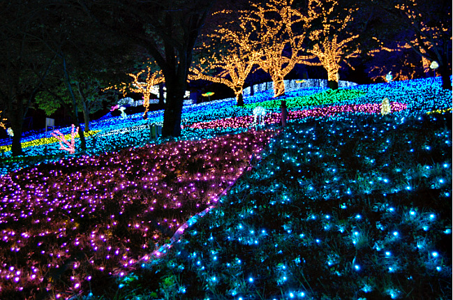 Park Place Oita Illumination 2024: A Fantastical Winter Scene Woven with Light and Sound