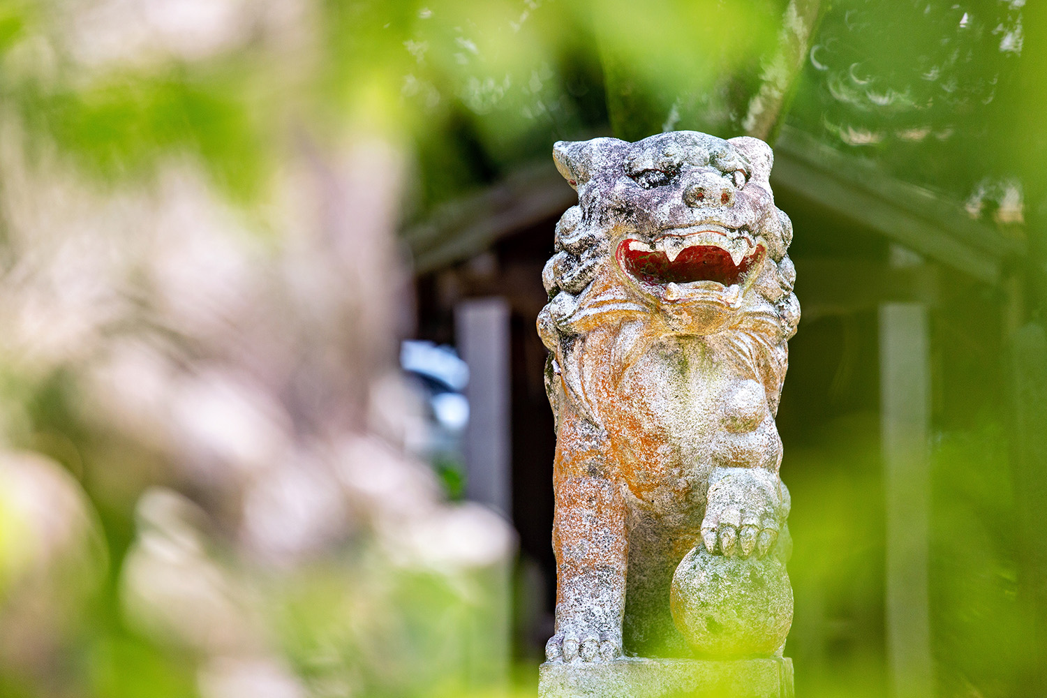 Hachi Oimatsu Shrine: Benefit from Matchmaking and Protection from Evil! Let's Receive Good Fortune at a Historic Shrine