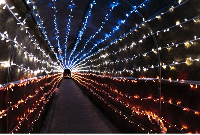 Experience a Fantastical Winter at the Cave of Light! Illuminations at Nagasaki's Nanatsugama Limestone Cave