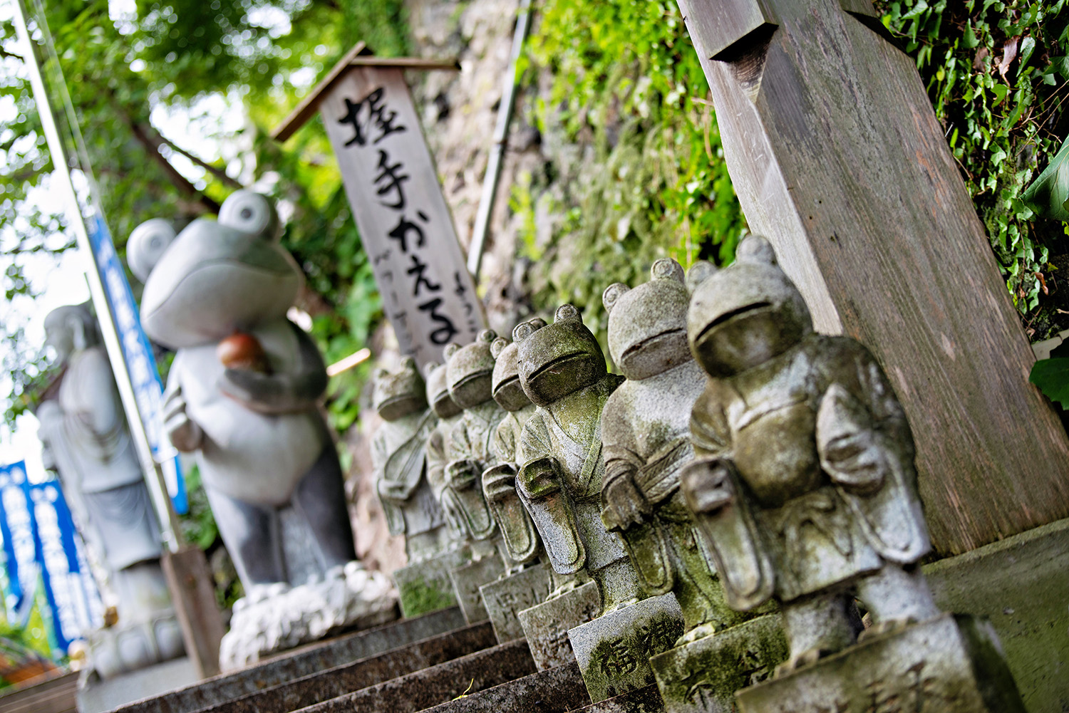 Rurisan Shoho-ji Temple: A Temple of Flowers Filled with Prayers for the Cure of Eye Diseases