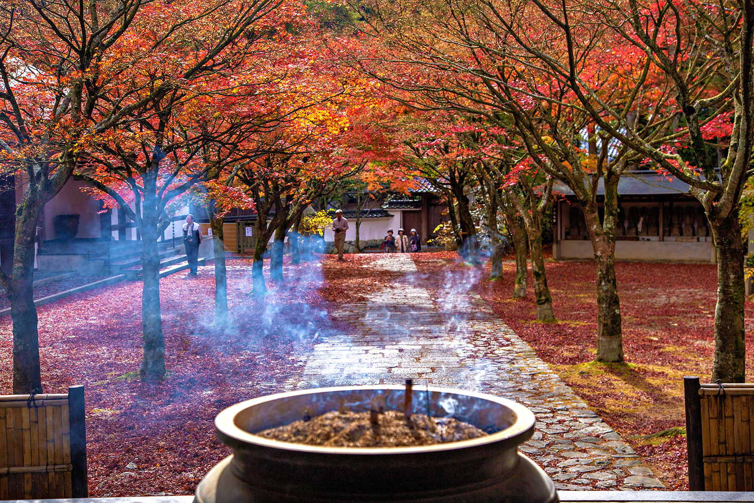 Let's Embark on a Journey to Wash Your Heart at Nomi-san Kannonji Temple, a Famous Autumn Foliage Spot in Sasaguri Town!