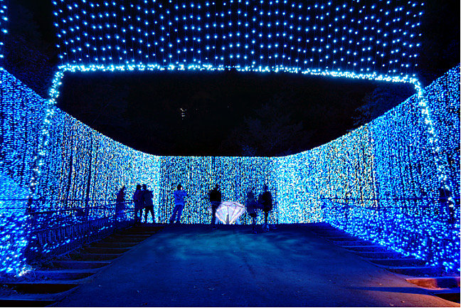 Saga Illuminage: Arita Porcelain Park Transforms into a World of Light and Magic!