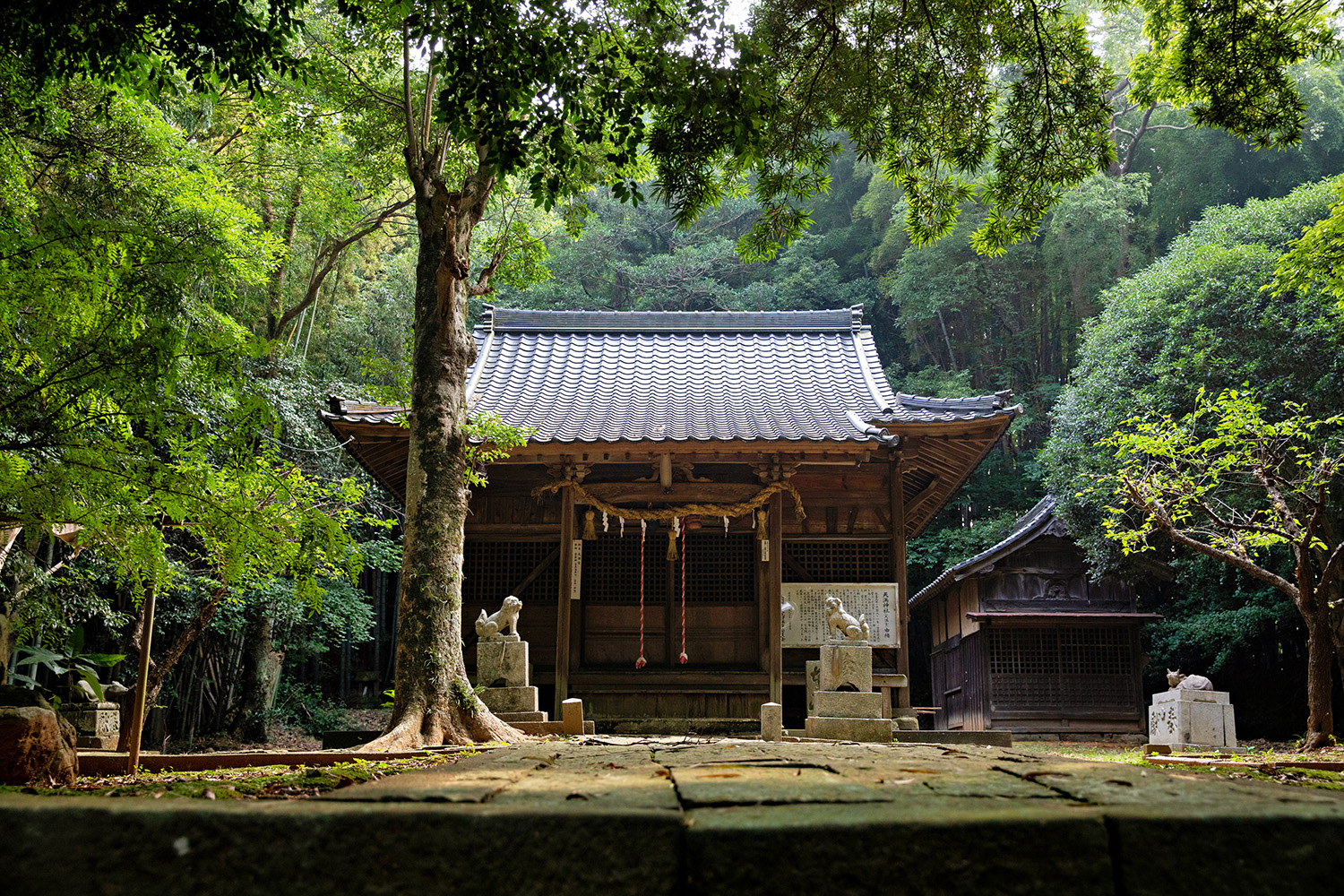 Takake Tenmangu Shrine: A Sacred Place for Learning and Matchmaking, Watched Over by 950-Year-Old Couple Camphor Trees!