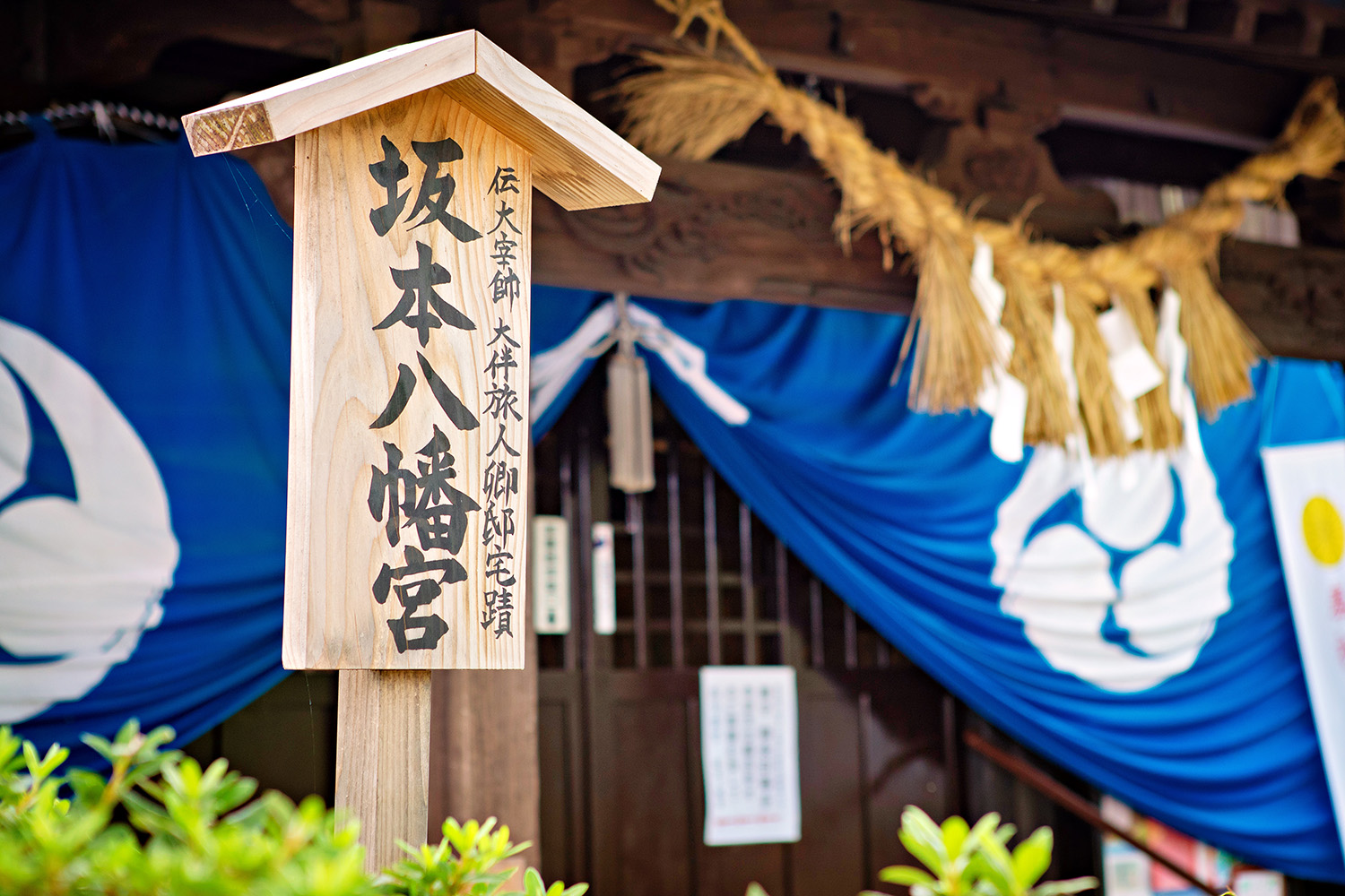 Sakamoto Hachimangu Shrine: A Place Associated with Reiwa! Experience the Historical Romance of Dazaifu