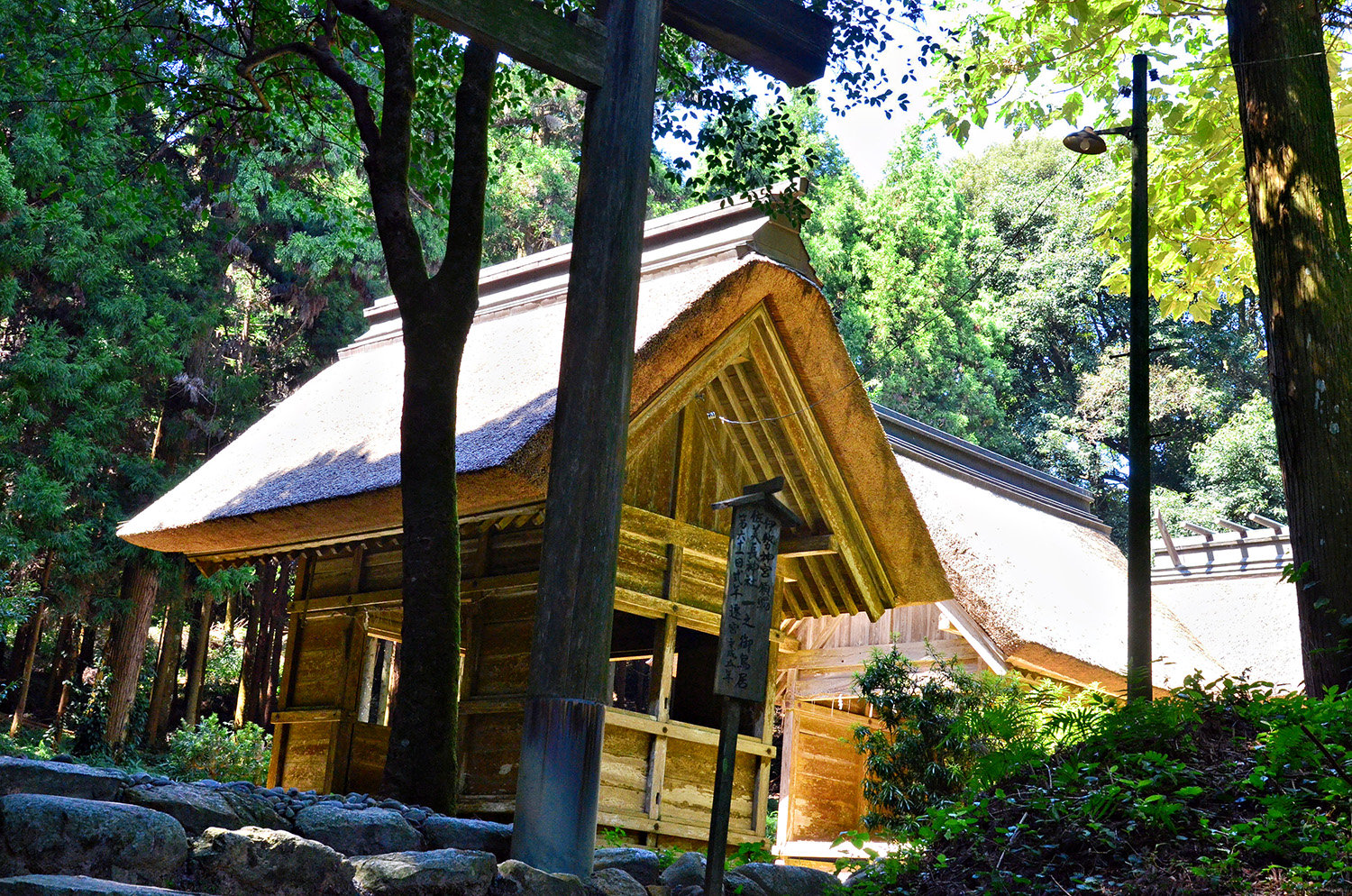 Sakurai Kotai Jingu Shrine: A Hidden Power Spot with a Sacred Atmosphere